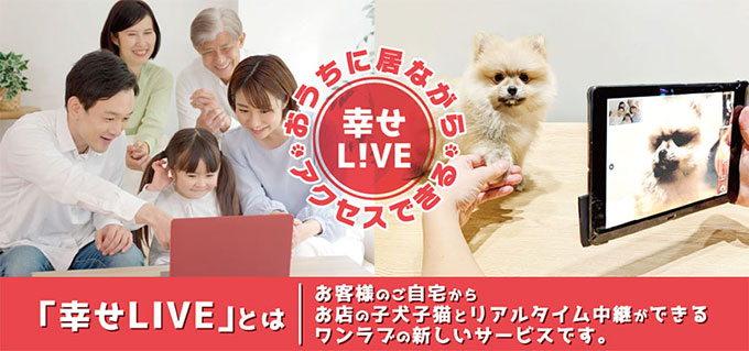 ワンラブのオンライン見学　幸せLIVE