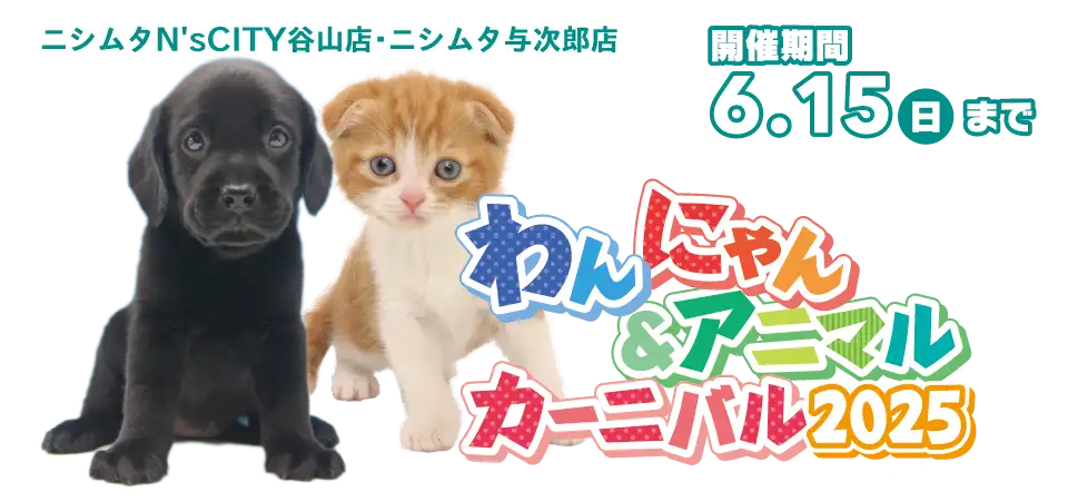【わんにゃん&アニマルフェスティバル開催！】鹿児島県 ワンラブ ニシムタ与次郎店＆ N'sCITY谷山店 にてわんにゃん&アニマルフェスティバルが開催！！ 5/20～6/4まで｜ワンラブグループ