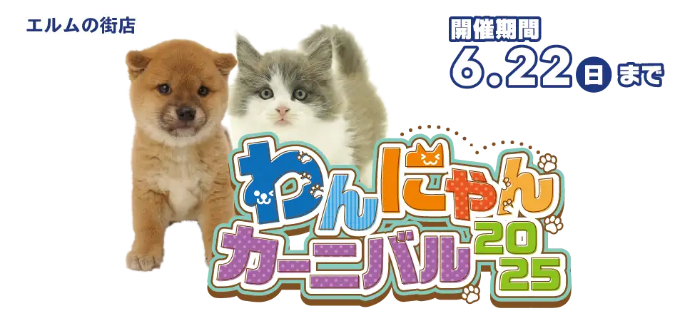 【わんにゃんカーニバル 開催！！】青森県 ワンラブ エルムの街店 わんにゃんイベント開催！！6/7～6/22まで｜ワンラブグループ