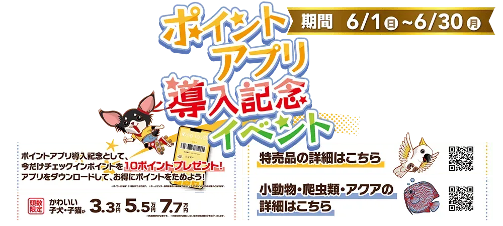 【ポイントアプリ導入記念イベント！！】全国のワンラブにてポイントアプリ切替イベントが開催中です！！｜6/1～