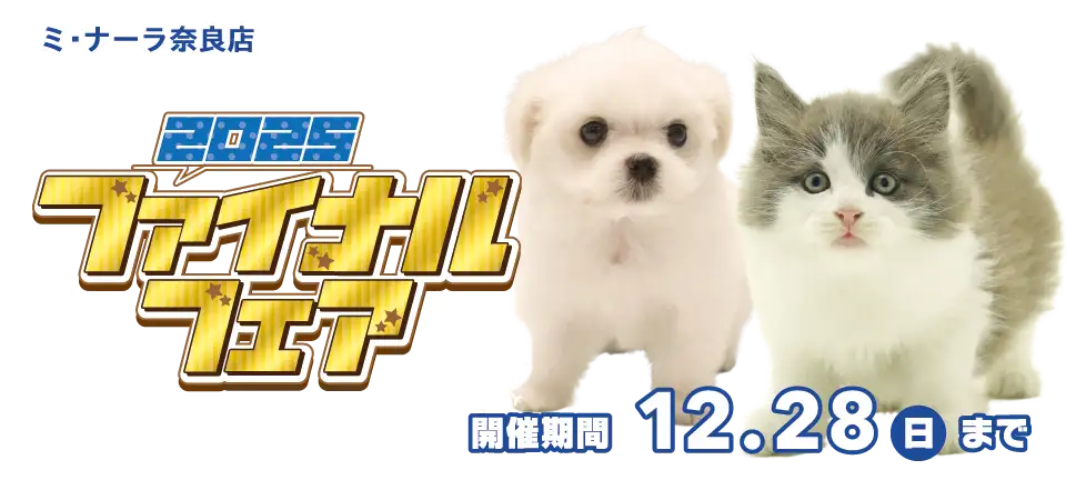 【2025 ファイナルフェア!!】奈良県 ワンラブ ミ・ナーラ奈良店 感謝イベント開催！！12/13～12/28まで｜ワンラブグループ