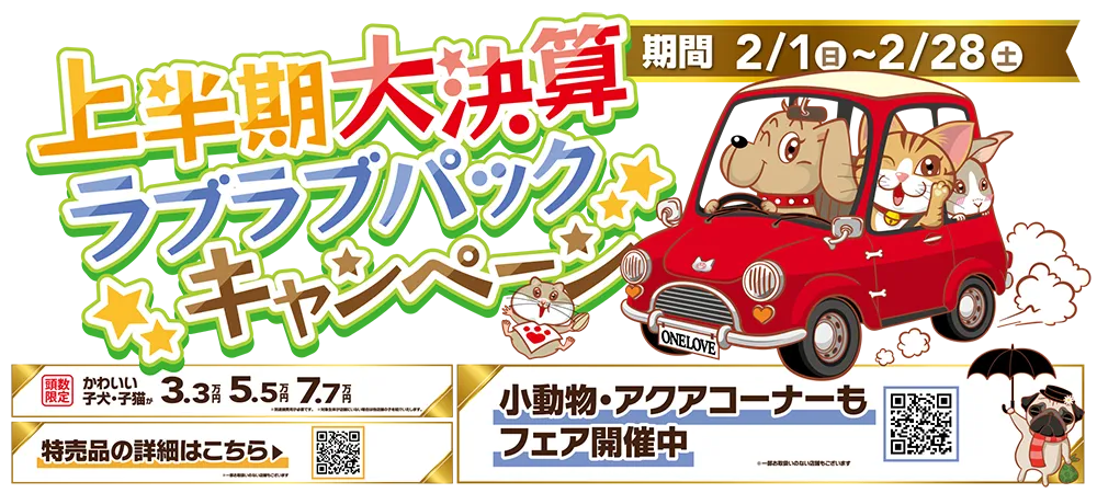 【2026年 上半期大決算商談会 開催！！】ワンラブ上期決算 ２２周年祭｜大決算商談会開幕！！ 2/28お引渡しまで