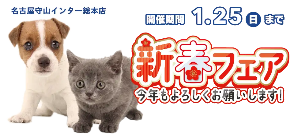 【新春フェア 開催!!】愛知県 ワンラブ 名古屋守山インター総本店 新春フェア開催!! 1/10～1/25まで
