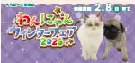【わんにゃんウィンターフェア2026 開催!!】静岡県 ワンラブ ららぽーと沼津店 フェア開催!! 1/24～2/8まで