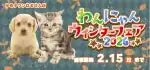 【わんにゃんウィンターフェア2026 開催!!】熊本県 ワンラブ ゆめタウンはません店 フェア開催!! 1/31～2/15まで