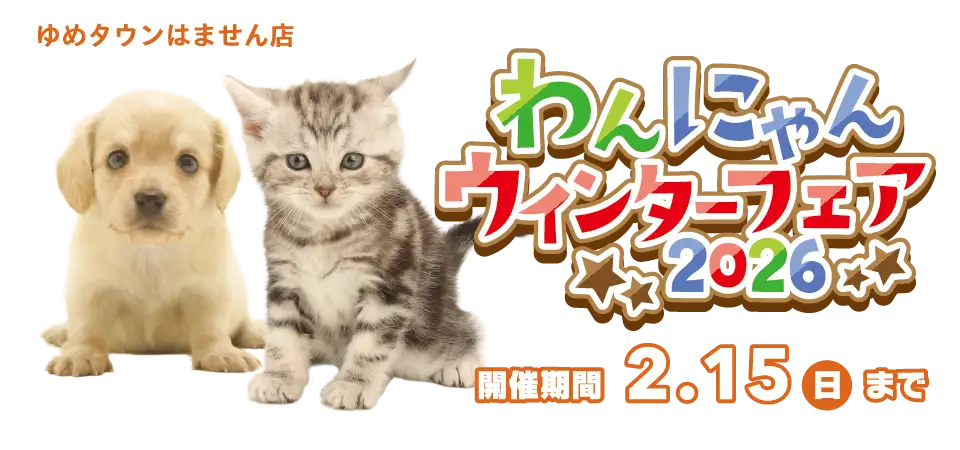 【わんにゃんウィンターフェア2026 開催!!】熊本県 ワンラブ ゆめタウンはません店 フェア開催!! 1/31～2/15まで
