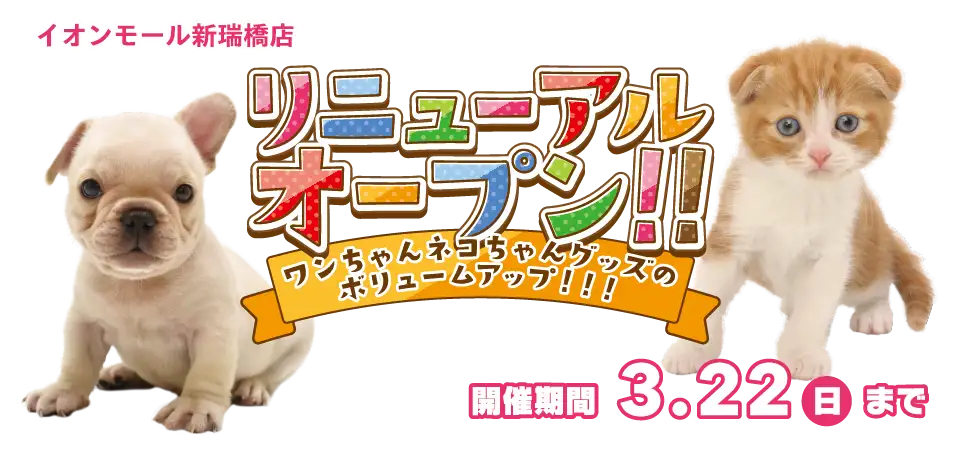 【祝！リニューアルオープン！！】愛知県 ワンラブ イオンモール新瑞橋店 リニューアルイベント開催！！3/7～3/22まで｜ワンラブグループ
