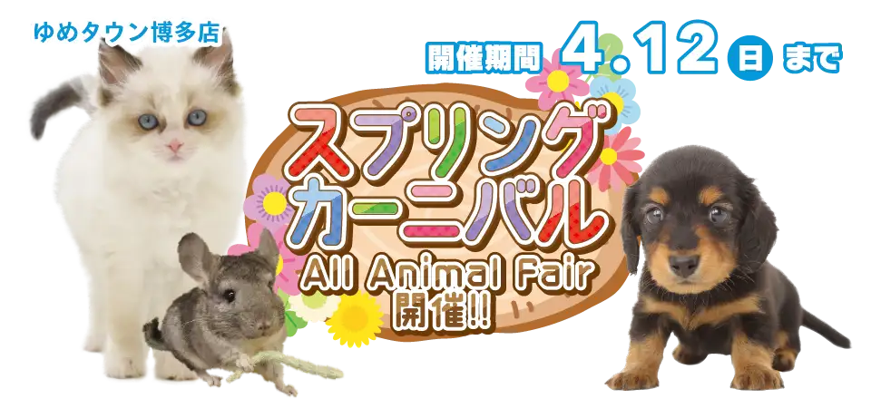 【スプリングカーニバル 開催！！】福岡県 ワンラブ ゆめタウン博多店 春の感謝イベント開催！！3/28～4/12まで｜ワンラブグループ