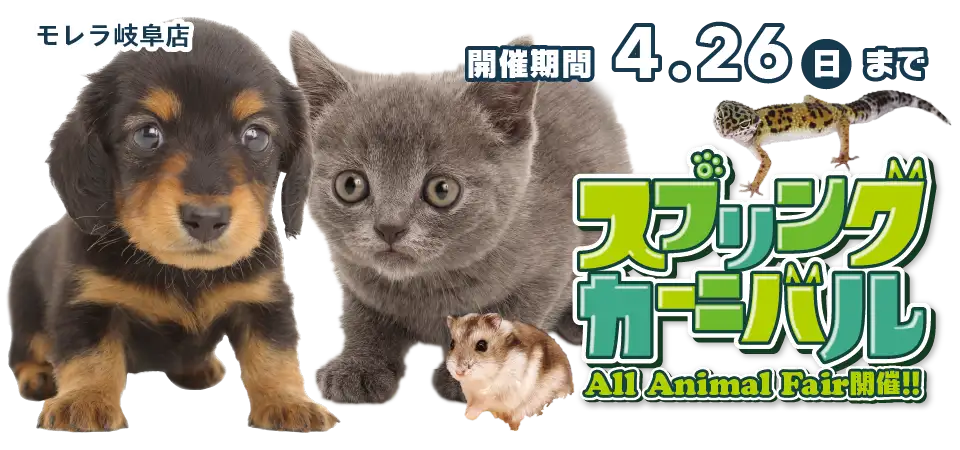 【スプリングカーニバル開催！！】岐阜県 ワンラブ モレラ岐阜店 春祭り開催！！ 4/11～4/26まで｜ワンラブグループ