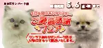 【ご愛顧感謝フェア！！】山口県 おのだサンパーク店 10年間のありがとう感謝祭開催！！ 4/18～5/6まで｜ワンラブグループ