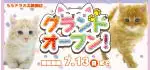 【祝!!グランドオープン!!】東京都 ニャンラブ初出店！ららテラス北綾瀬店オープンイベント開催！！6/28～7/13まで｜ワンラブグループ