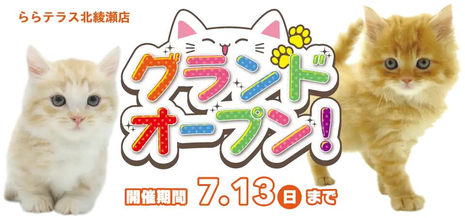 【祝!!グランドオープン!!】東京都 ニャンラブ初出店！ららテラス北綾瀬店オープンイベント開催！！6/28～7/13まで｜ワンラブグループ