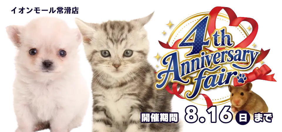 【祝！4周年記念フェア 開催！！】愛知県 ワンラブ イオンモール常滑店 おかげさまで4周年！感謝祭開催！！8/1～8/16まで｜ワンラブグループ