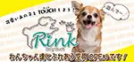 【Dog touch Rink】可愛い子犬たちと触れ合えるコーナーです♪｜ワンラブグループ