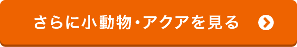さらに小動物・アクアを見る