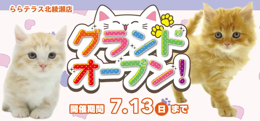 【祝!!グランドオープン!!】東京都 ニャンラブ初出店！ららテラス北綾瀬店オープンイベント開催！！6/28～7/13まで｜ワンラブグループ