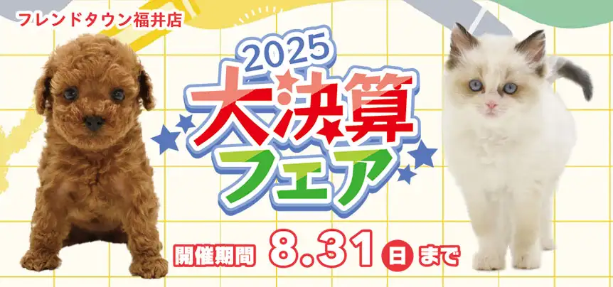 【大決算フェア 開催！！】福井県 ワンラブ フレンドタウン福井店 大決算イベント開催！！8/16～8/31まで｜ワンラブグループ