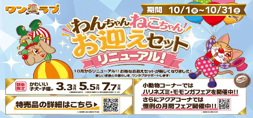 【オータムフェア！！】ワンラブお迎えセットもリニューアル！秋祭り開催中｜10/1～10/31まで