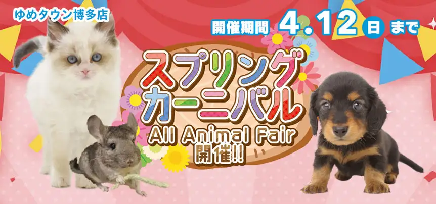 【スプリングカーニバル 開催！！】福岡県 ワンラブ ゆめタウン博多店 春の感謝イベント開催！！3/28～4/12まで｜ワンラブグループ