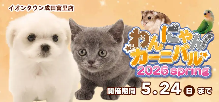 【わんにゃんカーニバル 開催！！】千葉県 ワンラブ イオンタウン成田富里店 わんにゃん+スモールアニマルカーニバル開催！！5/9～5/24まで｜ワンラブグループ