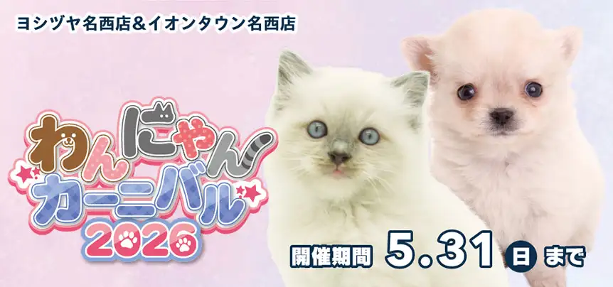 【わんにゃんカーニバル 開催！！】愛知県 ワンラブ ヨシヅヤ名西店＆イオンタウン名西店 合同イベント開催！！5/16～5/31まで
