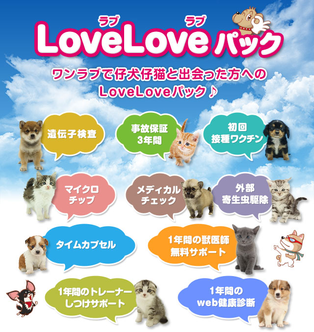 LOVELOVEパック