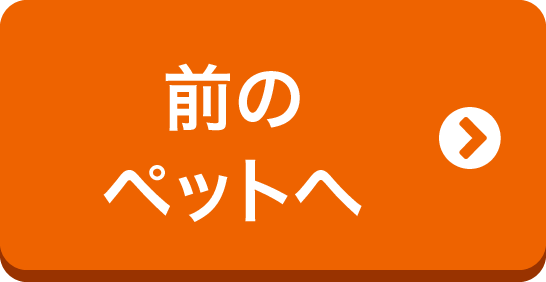 前のペットへ