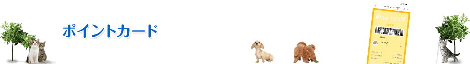 ポイントカード