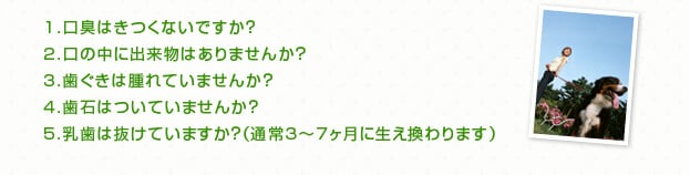 １ 口臭はきつくないですか？２ 口の中に出来物はありませんか？３ 歯ぐきは腫れていませんか？４ 歯石はついていませんか？５ 乳歯は抜けていますか？（通常3～7ヶ月に生え換わります）
