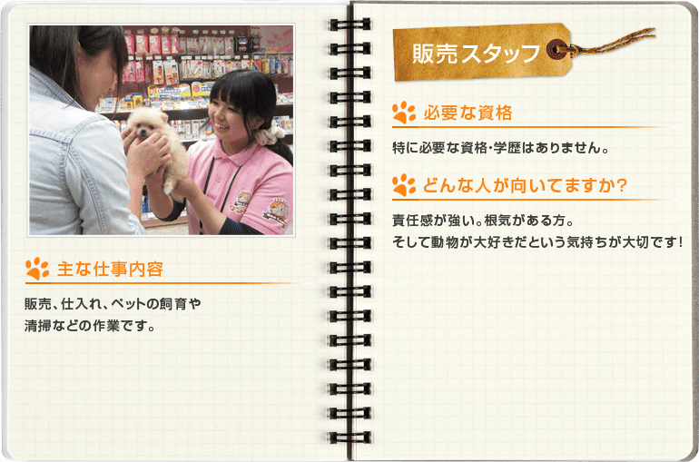 販売スタッフ[主な仕事内容]販売、仕入れ、ペットの飼育や清掃などの作業です。[必要な資格]特に必要な資格・学歴はありません。[どんな人が向いてますか？]責任感が強い。根気がある方。そして動物が大好きだという気持ちが大切です！