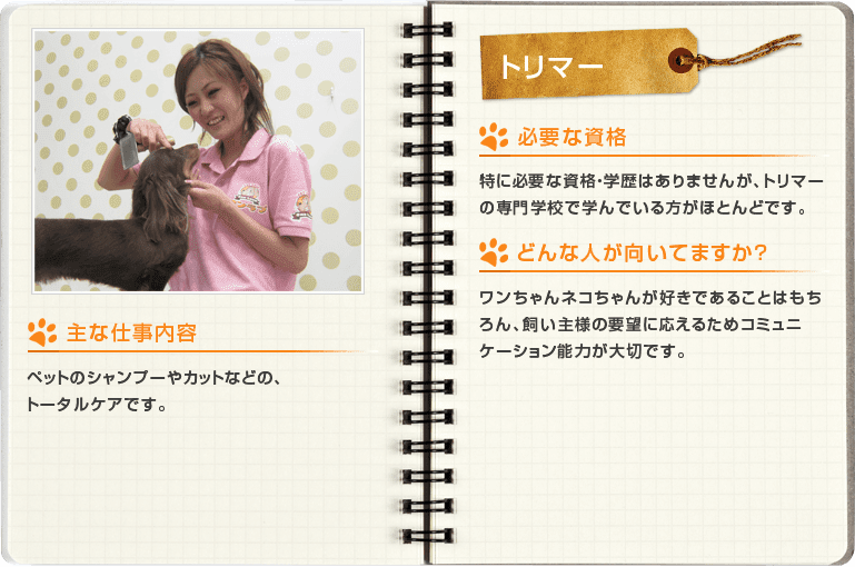 トリマー[主な仕事内容]ペットのシャンプーやカットなどの、トータルケアです。[必要な資格]特に必要な資格・学歴はありませんが、トリマーの専門学校で学んでいる方がほとんどです。[どんな人が向いてますか？]ワンちゃんネコちゃんが好きであることはもちろん、飼い主様の要望に応えるためコミュニケーション能力が大切です。