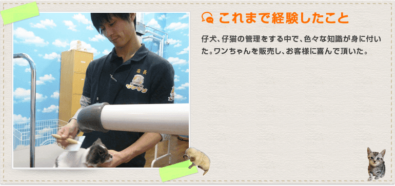 仔犬、仔猫の管理をする中で、色々な知識が身に付いた。ワンちゃんを販売し、お客様に喜んで頂いた。