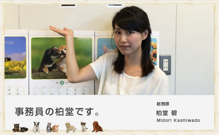 柏堂 碧
