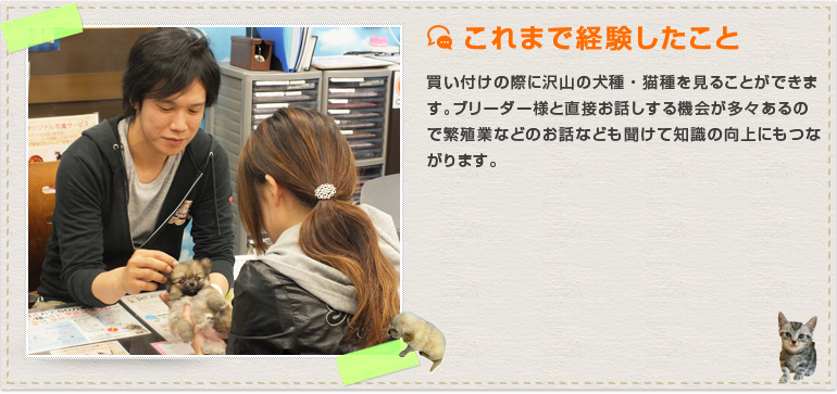 買い付けの際に沢山の犬種・猫種を見ることができます。ブリーダー様と直接お話しする機会が多々あるので繁殖業などのお話なども聞けて知識の向上にもつながります。