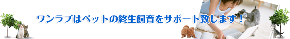 ワンラブはペットの終生飼育をサポート致します！