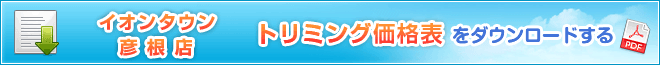 PDFダウンロード
