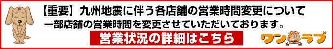 熊本県を中心とする地震について