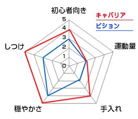 チャート