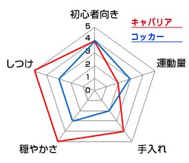 チャート