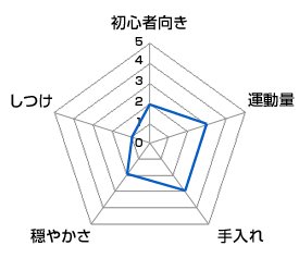 チャート