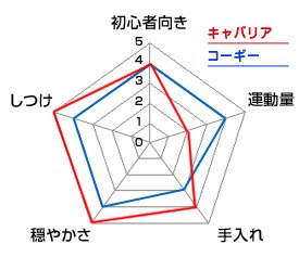 チャート