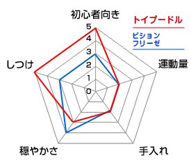 チャート
