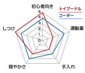 チャート