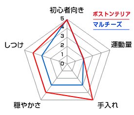 チャート