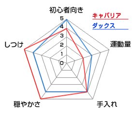 チャート
