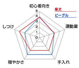 チャート