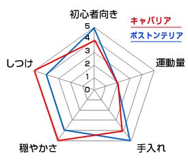 チャート