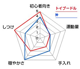 チャート