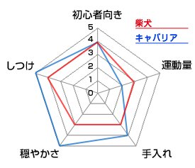 チャート