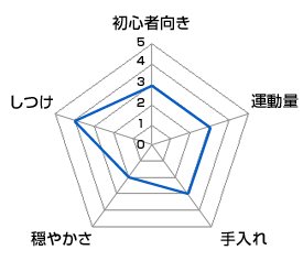 チャート